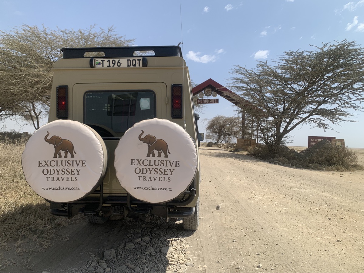 Exclusive Odyssey Travels vehicle at the Serengeti gate