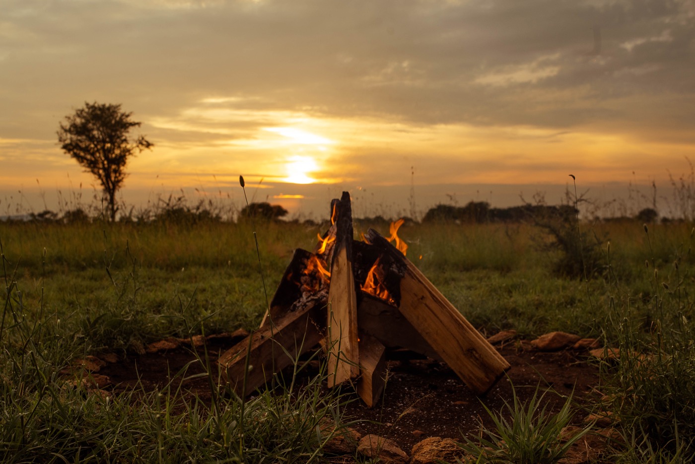 Tanzania safari landscape at golden hour